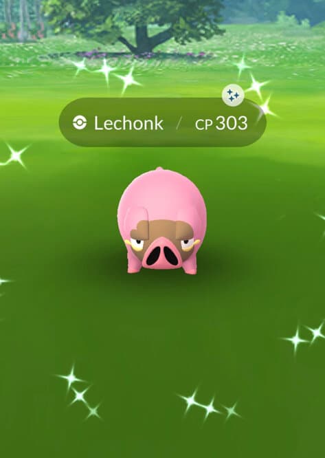Video: Pokémon GO is teasing Lechonk and Shiny Lechonk as the featured Pokémon for the next Pokémon GO Community Day on May 9